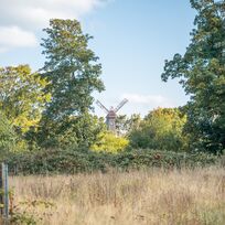 Eine Mühle ragt zwischen den Bäumen empor.