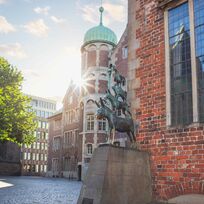 Die Bremer Stadtmusikanten im Sonnenlicht.