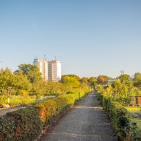 Der Weg führt durch ein Kleingartengebiet. Im Hintergrund ist ein Hochhaus zu sehen.