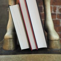 Bücher zwischen den Beinen des Esels der Bremer Stadtmusikanten.