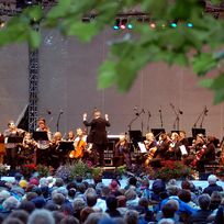 Blick durch Blätter hindurch auf eine Bühne mit einem klassischen Orchester. Davor das Publikum.