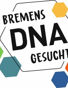 ranke knstlich VerduraVine Knstliche Sukkulenten-Ranke | Pflegeleicht