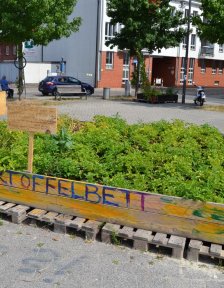 Ein Beet mit grünen Pflanzen steht auf grauem Beton; Quelle: bremen.online GmbH - MDR