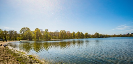 A lake with trees growing on its shore.