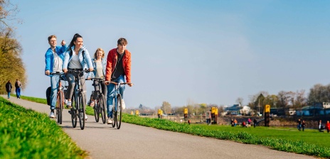 Four people are cycling along Bremen's Osterdeich. It is summery.
