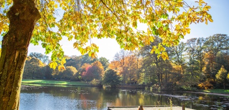 Eine Frau sitzt an einem Steg und schaut auf einen See. Die Blätter der Bäume sind herbstlich gefärbt.