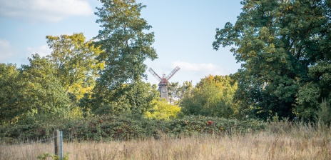 Eine Mühle ragt zwischen den Bäumen empor.