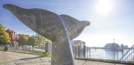 Im Fokus steht eine Skulptur einer Walflosse. Der Himmel ist blau und die Sonne scheint.