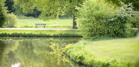 Eine leere Bank im Bürgerpark. 