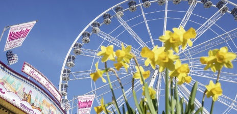 Osterglocken und ein Süßigkeiten stand auf der Osterwiese. Im Hintergrund ist ein Riesenrad zu sehen. 