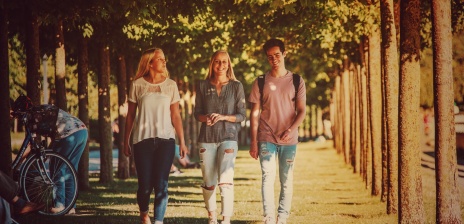 Zwei junge Frauen und ein junger Mann gehen entlang des Stadtgartens in Vegesack unter Kugelahorn-Bäumen, die herbstlich verfärbt sind, spazieren.