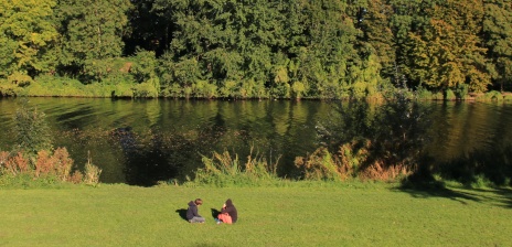 Saftig grüne Bäume und der Werdersee