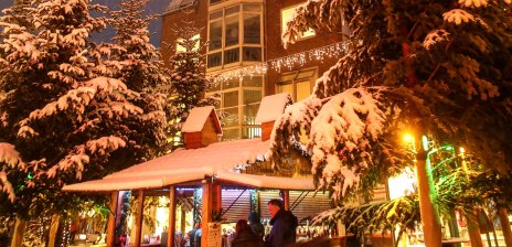 Tannenbäume mit Schnee bedeckt auf dem Vegesacker Winterspaß. 