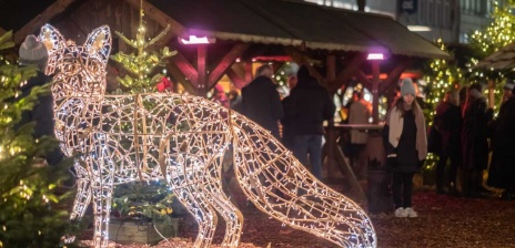 Besucherinnen und Besucher auf dem Winterwald. Im Vordergrund ist eine große leuchtende Figur in der Form einen Fuchses. 