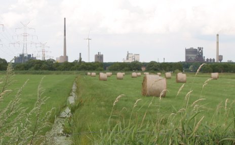 Marschland, im Hintergrund Industrie; Quelle: Ortstamt Seehausen