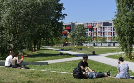 Studenten sitzen auf dem Rasen auf dem Uni Gelände und genießen die Sonne