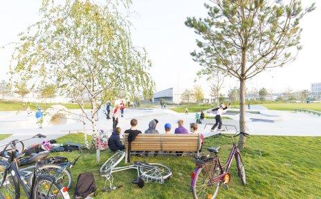 Eine Holzbank von hinten, auf der Personen sitzen mit Blick auf die Rampen eines Skateparks. Drumherum liegen zahlreiche Fahrräder im Gras.