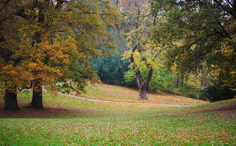 A park in autumn.