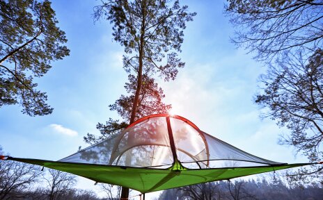 Ein Zelt, das im Wald in den Bäumen hängt.