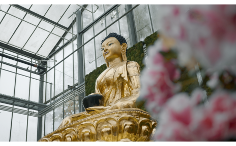 Eine goldene Buddhastatue in der botanika Bremen. 