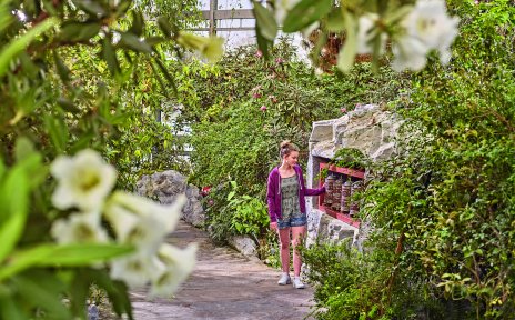 Eine junge Frau schaut sich die Gebetsmühlen in der botanika an. Sie steht in einem dicht bewachsenen Gewächshaus.
