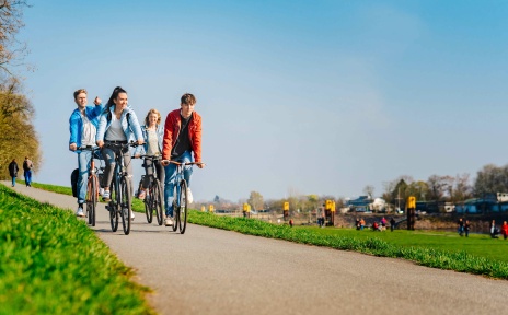 Vier Personen fahren am Bremer Osterdeich mit dem Fahrrad. Es ist sommerlich.