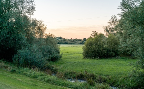 Blick über eine grüne Wiesenlandschaft der Wümmewiesen bei Bremen-Borgfeld, eingerahmt von Bäumen und Sträuchern im sanften Abendlicht.