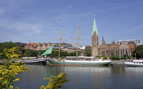 Das Schiff Alexander von Humboldt und weitere Schiffe auf der Weser, im Vordergrund blüht die Goldrute.