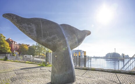 Im Fokus steht eine Skulptur einer Walflosse. Der Himmel ist blau und die Sonne scheint.
