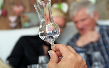Eine Hand hält ein Schnaps-Glas empor, im Hintergrund zwei Teilnehmende eines Gin-Tastings.