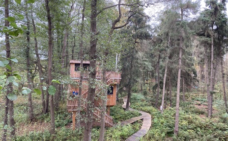 Ein Baumhaus im Naturresort "Land of Green" von außen.
