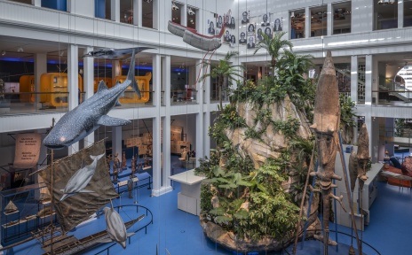 Ansicht des Lichthofes im Übersee-Museum Bremen.