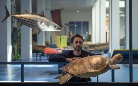 Ein Mann beobachtet Exponate, die einen Fisch und eine Schildkröte zeigen.