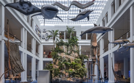 Die neue Dauerausstellung "Der blaue Kontinent" zeigt eine bewachsene steinige Insel. Von der Decke hängen verschiedenes Meeresgetier.