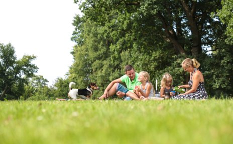 Eine Familie macht ein Picknick auf einer Grünfläche im Park 