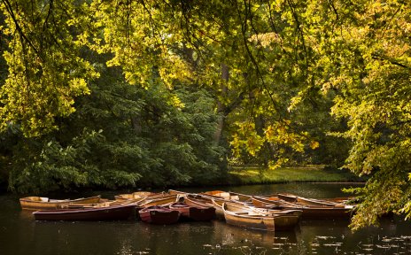Holzboote auf dem Wasser in herbstlicher Landschaft, Quelle: Michael Becker/MicBeck