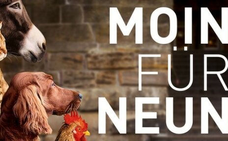 Die Bremer Stadtmusikanten werden durch echte Tiere dargestellt und blicken zu einem Schriftzug auf der rechten Seite mit den Worten: Moin für Neun.