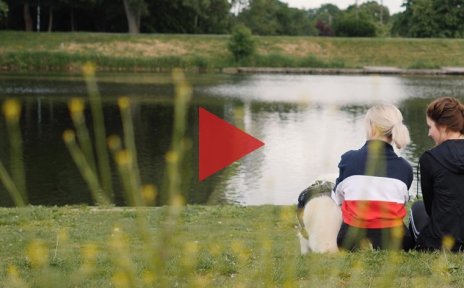Zwei Personen sitzen mit einem Hund auf einer Wiese am Rande eines Sees. In der Mitte des Bildes befindet sich ein rotes, dreieckiges Symbol, das nach rechts zeigt.