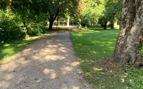Ein Weg durch einen Park mit grüner Wiese und Bäumen.