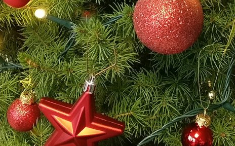 Ein geschmückter Weihnachtsbaum