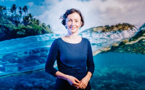 Prof. Dr. Anna-Katharina Hornidge