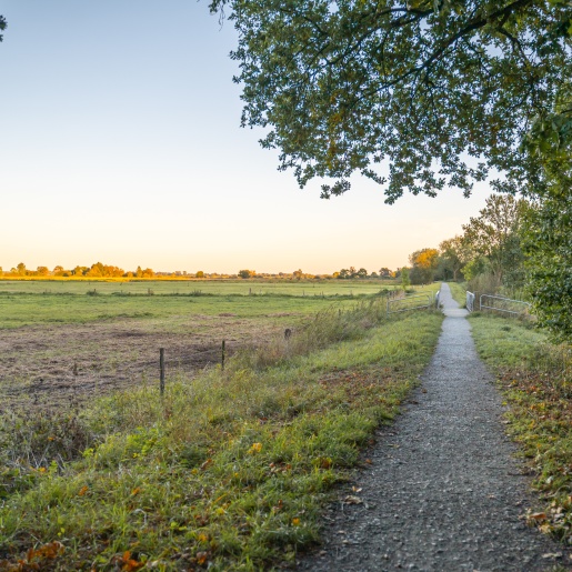 Wümme Wiese in Borgfeld während des Sonnenuntergangs