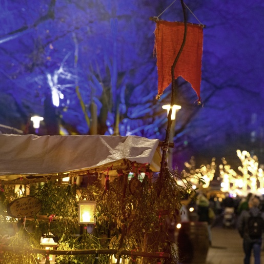 In the foreground you can see an old wagon on the Schlachte Zauber, with mistletoe hanging from it. In the background, people are walking across the Schlachte, which is decorated and illuminated in winter.