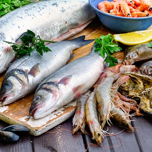 Verschiedene Fischsorten, Muscheln, Garnelen und Tintenfische liegen auf einem Tisch. 
