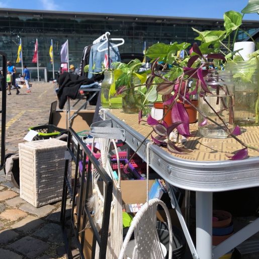 Ein Flohmarktstand mit Pflanzen, Dekorationsartikeln und Kleidung auf der Bremer Bürgerweide. Im Hintergrund befinden sich weitere Flohmarktstände.