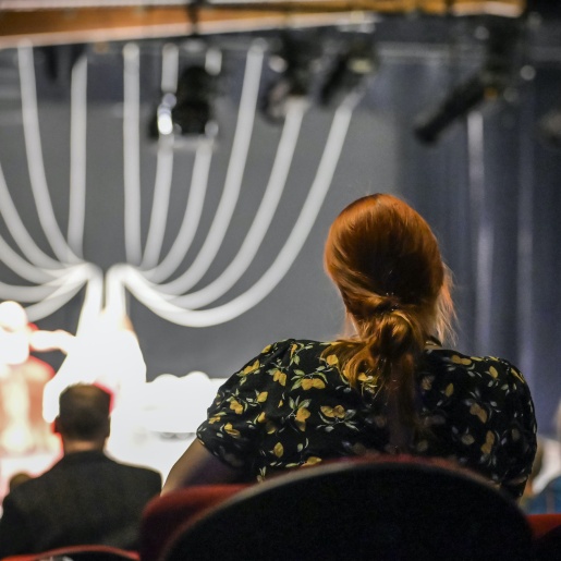 Eine Frau sitzt im Publikum und schaut einer Bühnenshow zu.