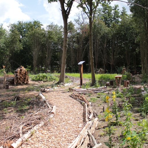 Ein Waldstück mit Bäumen und Pflanzen, genannt Waldgarten des NABU Bremen
