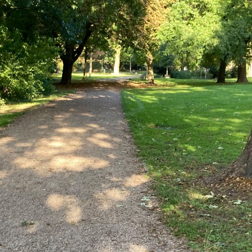 Ein Weg durch einen Park mit grüner Wiese und Bäumen.