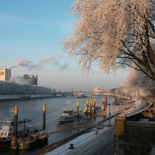 The Weser and the Schlachte in Bremen in the morning sun, trees full of ice.