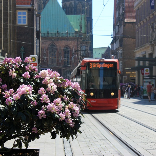 Line 3 in Obernstraße, a flowering rhododendron in the foreground on the left.